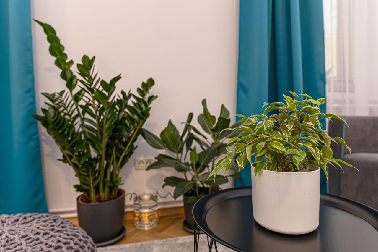 Garden Hideout - Central Apartment Brašov Exteriér fotografie